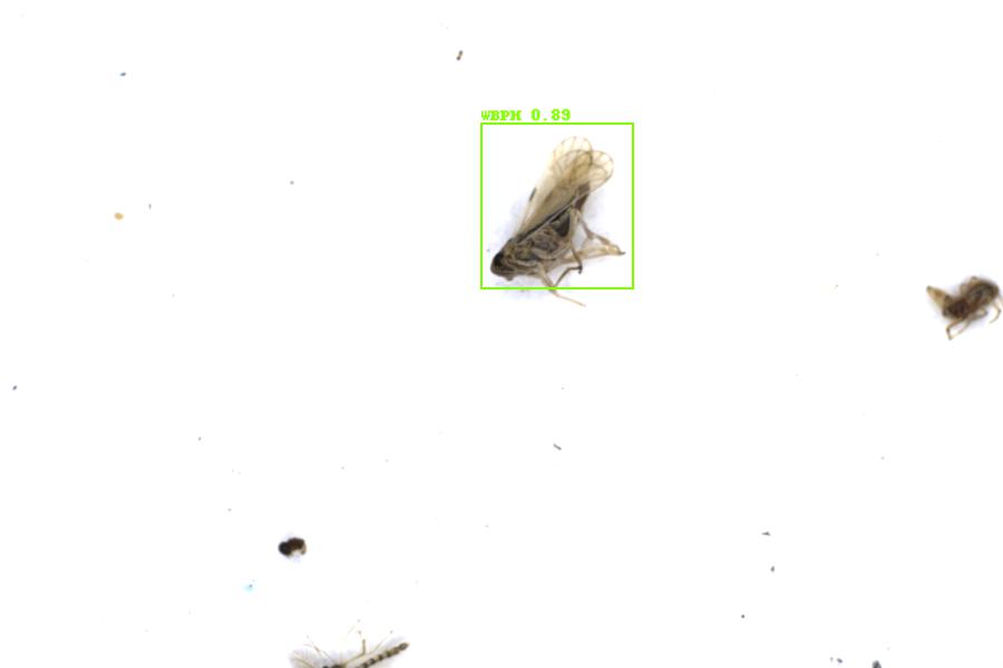 Image 72